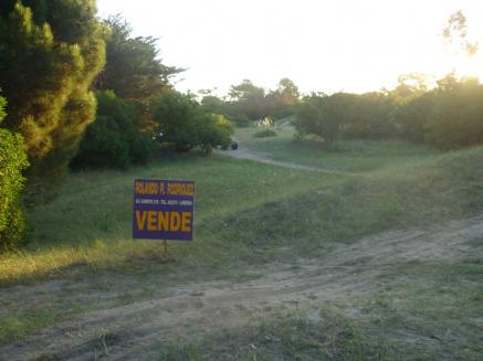 Balneario Arenas Verdes - Loteo Mar de Oro - Lote Sector Bosque  