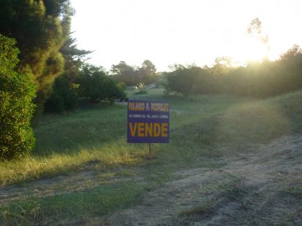 Balneario Arenas Verdes - Loteo Mar de Oro - Lote Sector Bosque  
