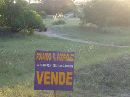 Balneario Arenas Verdes - Loteo Mar de Oro - Lote Sector Bosque  