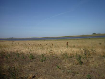 CAMPO 200 HAS. EN PDO. SAN CAYETANO
