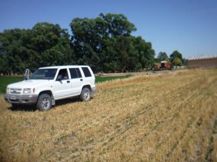 CAMPO 200 HAS. EN PDO. SAN CAYETANO