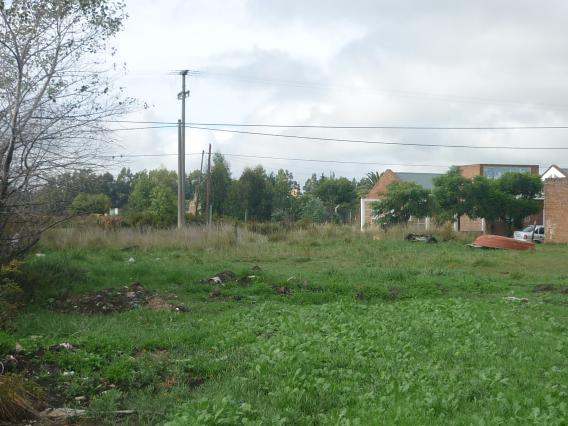 4 Lotes de Terreno  a 50 mts Avda. De Caso (zona cancha Alumni) Loberia