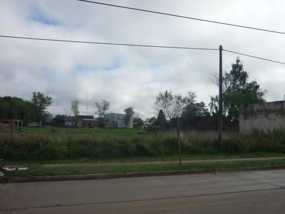 4 Lotes de Terreno  a 50 mts Avda. De Caso (zona cancha Alumni) Loberia