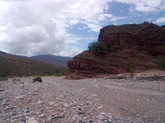 EXCELENTE OPORTUNIDAD        37.000 HAS. CATAMARCA 