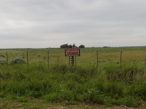 OPORTUNIDAD PARA INVERTIR PESOS EN TIERRAS - RENTA ASEGURADA