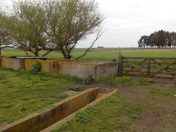 CLASICA CHACRA TIPO GRANJA - PDO. LOBERIA