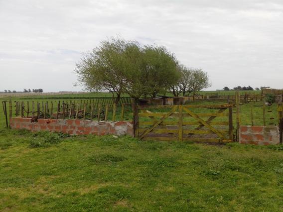 CLASICA CHACRA TIPO GRANJA - PDO. LOBERIA