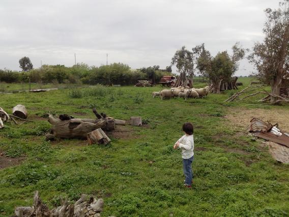 CLASICA CHACRA TIPO GRANJA - PDO. LOBERIA