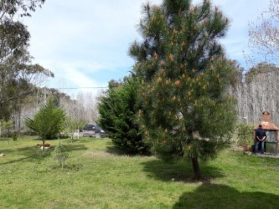 PINTORESCA FINCA DE MAR (SECTOR BOSQUE BAJO)