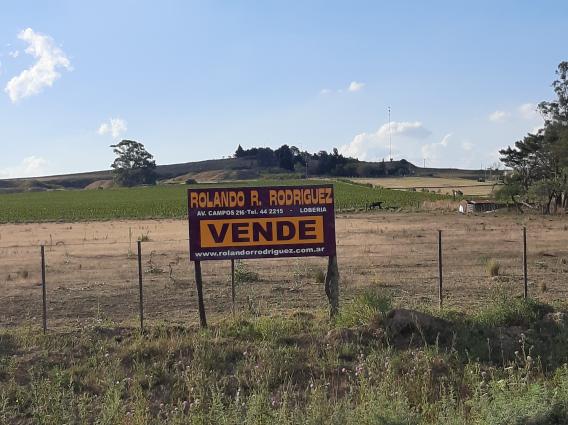 3 FRACCIONES DE TERRENO LINDERAS A SAN MANUEL 