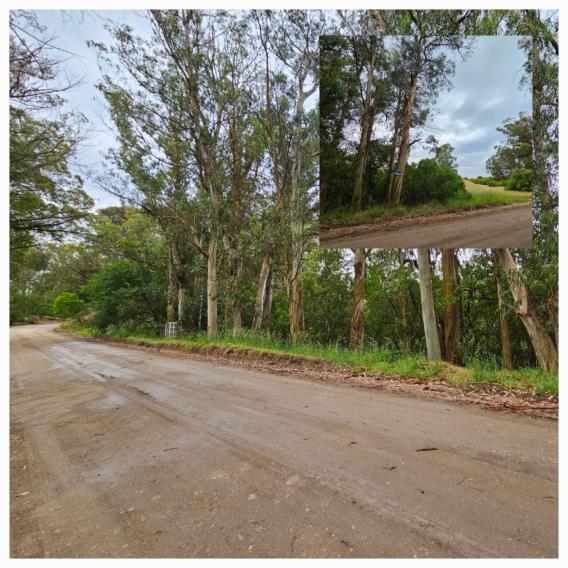 BALNEARIO ARENAS VERDES OPORTUNIDAD 3 AMPLIOS LOTES ARBOLADOS 